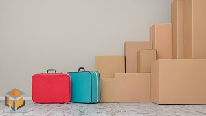 کارتن فریت بار چیست