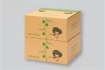 جعبه کود و بذر - Image 2